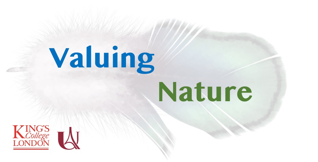 Valuing Nature